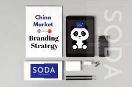 Brand Marketing Strategy in China